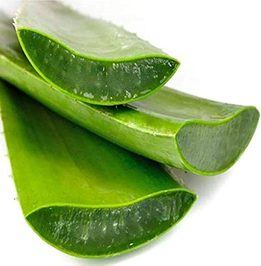 aloe-vera-leaf-strick